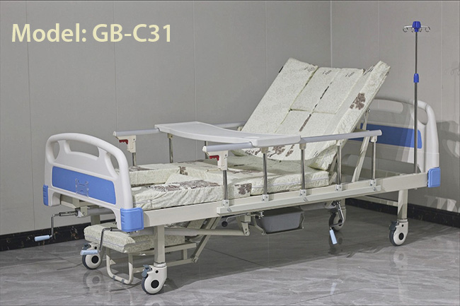 gb-c31-1